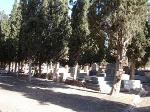 ORANIE 10 2005 132 SIDI BEL ABBES CIMETIERE ISRAELITE